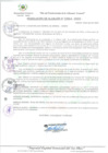Vista preliminar de documento RA_239_A_2022_MDI.pdf