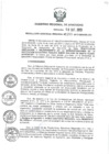 Vista preliminar de documento RGR_189_2013_GRI.pdf