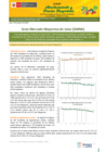 Vista preliminar de documento Boletín de Abastecimiento y Precios Mayoristas GMML y MM Nº 2 -18/08/22