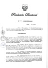 Vista preliminar de documento RD N° 345-2022.pdf