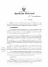 Vista preliminar de documento RD 495-2022-MINEM-DGM.pdf