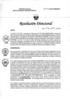 Vista preliminar de documento RD N° 216-2022-DG-INMP/MINSA