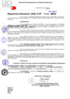Vista preliminar de documento Resolución Directoral N° 004911-2022.