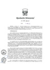 Vista preliminar de documento 1155-2022-IN