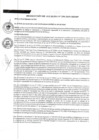 Vista preliminar de documento RA 290-2019.pdf