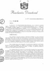 Vista preliminar de documento RD 084-2019-PNSU
