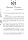 Vista preliminar de documento RD 088-2019-PNSU