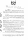 Vista preliminar de documento RD 091-2019-PNSU