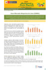 Vista preliminar de documento Boletín de Abastecimiento y Precios Mayoristas GMML y MM Nº 2 -22/08/22