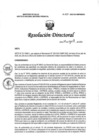 Vista preliminar de documento RD N° 234-2022-DG-INMP/MINSA