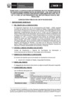 Vista preliminar de documento Bases del Concurso de CAS N° 035-2022-OSCE