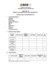 Vista preliminar de documento Anexo N° 06 - Modelo de Currículum Vitae Descriptivo
