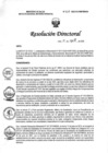 Vista preliminar de documento RD N° 238-2022-DG-INMP/MINSA
