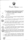 Vista preliminar de documento DS N° 009-2019-MC_ACCESIBLE