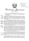 Vista preliminar de documento RM.N° 268