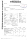 Vista preliminar de documento Declaración Jurada de Ingresos