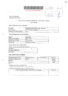 Vista preliminar de documento Declaración Jurada de Ingresos