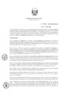 Vista preliminar de documento RD_0042_2019_MINEM_DGAAE