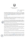 Vista preliminar de documento RD_0049-2019-MINEM-DGAAE