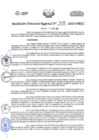 Vista preliminar de documento RDR N5439-2022.pdf