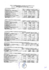 Vista preliminar de documento Presupuesto Inicial