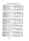 Vista preliminar de documento Presupuesto Inicial