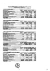 Vista preliminar de documento Presupuesto Inicial