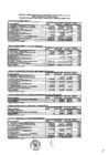 Vista preliminar de documento Presupuesto Inicial