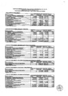 Vista preliminar de documento Presupuesto Inicial