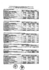 Vista preliminar de documento Presupuesto Inicial