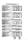 Vista preliminar de documento Presupuesto Inicial