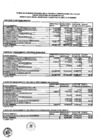 Vista preliminar de documento Presupuesto Inicial