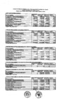 Vista preliminar de documento Presupuesto Inicial