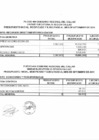 Vista preliminar de documento Presupuesto Inicial