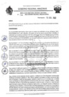 Vista preliminar de documento RESOLUCION 738.pdf