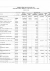 Vista preliminar de documento Programa De Inversión Pública-Presupuesto Inicial