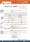 Vista preliminar de documento RESOLUCION DE ALCALDIA N° 113-2022.pdf