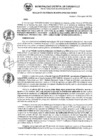 Vista preliminar de documento RG_355_2022.pdf