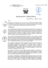 Vista preliminar de documento R.D. N°428-2022-DIRISLS.pdf