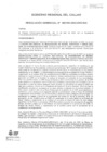 Vista preliminar de documento APROBAR LA MODIFICACIÓN N°027 del CUADRO MULTIANUAL DE NECESIDADES DE BIENES
