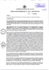 Vista preliminar de documento APROBAR LA MODIFICACIÓN N" 015 del CUADRO MULTIANUAL DE NECESIDADES DE BIENES