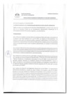 Vista preliminar de documento 0186-2022-MDSJL