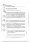 Vista preliminar de documento 0853-2022-MDSJL
