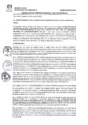 Vista preliminar de documento 0207-2022-MDSJL