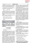 Vista preliminar de documento DS-015-2019-MIMP