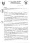 Vista preliminar de documento Acuerdo de Consejo Regional