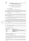 Vista preliminar de documento Resolución de Gerencia General