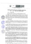 Vista preliminar de documento Resolución de Gerencia General