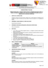 Vista preliminar de documento Convocatoria 043