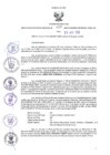 Vista preliminar de documento RER N° 459-2022
